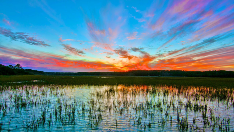 Huntington Beach State Park 3