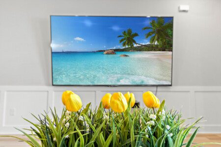 556455ff 56cc 40ac bb79 77e531b72794