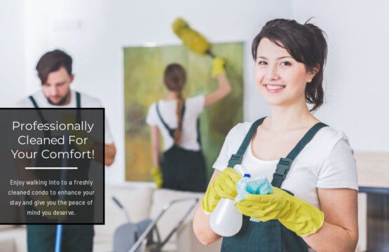 8db81b39 8cb8 42f2 86e6 54d0920d799e